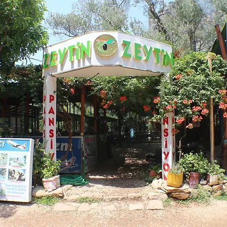 Zeytin 올림포스