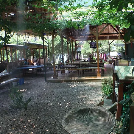 Zeytin Олимпос