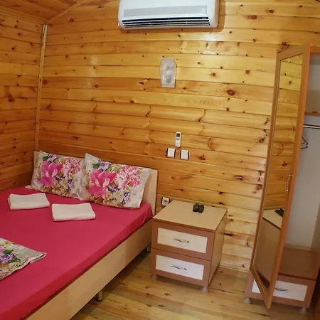 B&B Zeytin