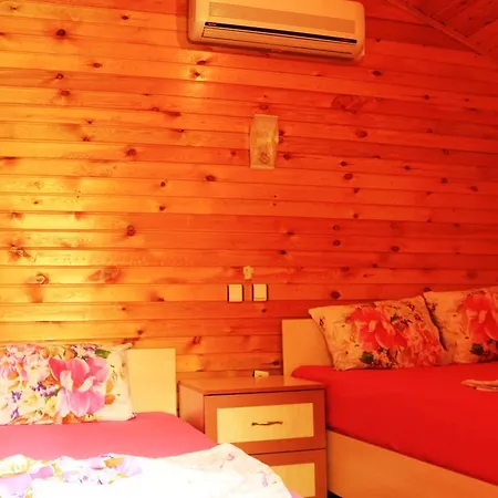 Zeytin * Олимпос