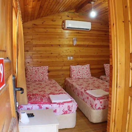 Alojamento de Acomodação e Pequeno-almoço Zeytin *