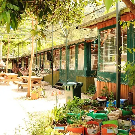 Alojamento de Acomodação e Pequeno-almoço Zeytin