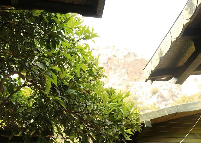 Bed & Breakfast Zeytin Olympos