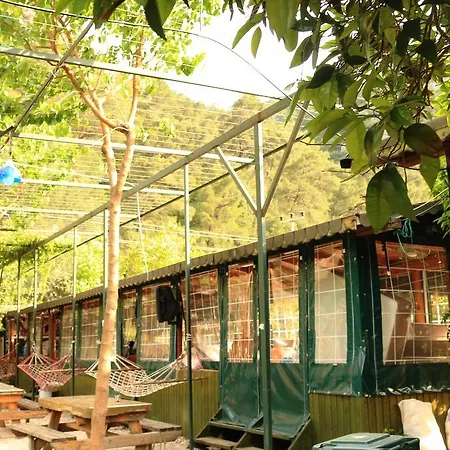 Zeytin Olympos