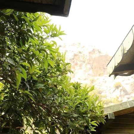Panzió Zeytin Olympos
